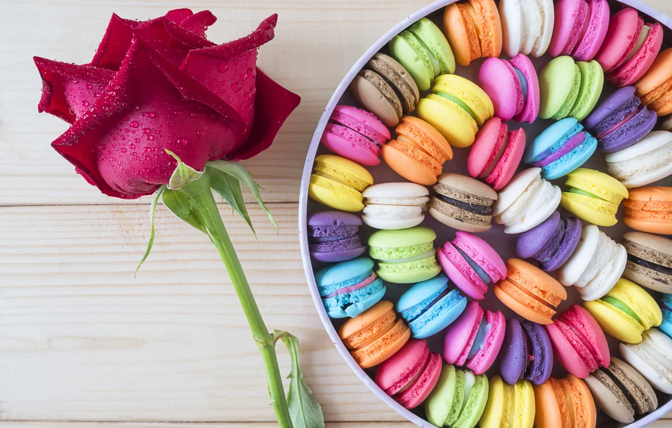 Фото обои цветок, коробка, роза, box, color, dessert, candy, macaron