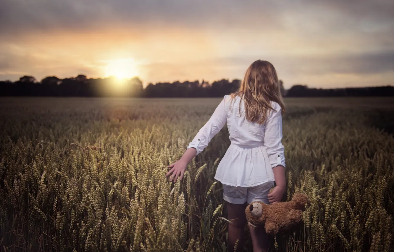 Фото обои поле, девушка, пейзаж, закат, мишка