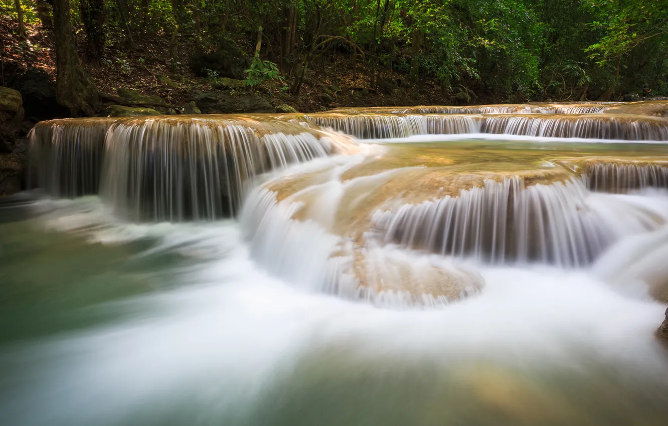 Фото обои лес, вода, природа, река, водопады