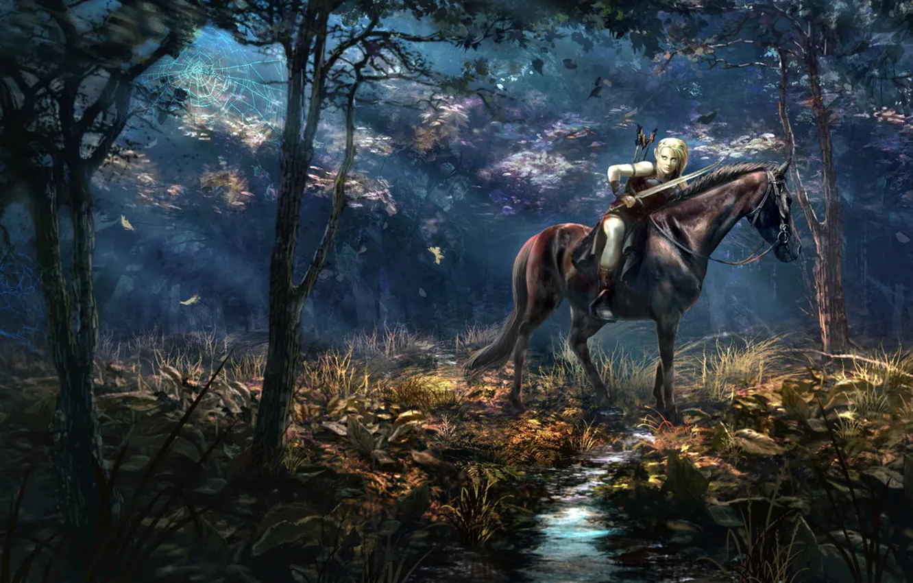 Фото обои лес, лошадь, всадница, Art, Andrii Shafetov