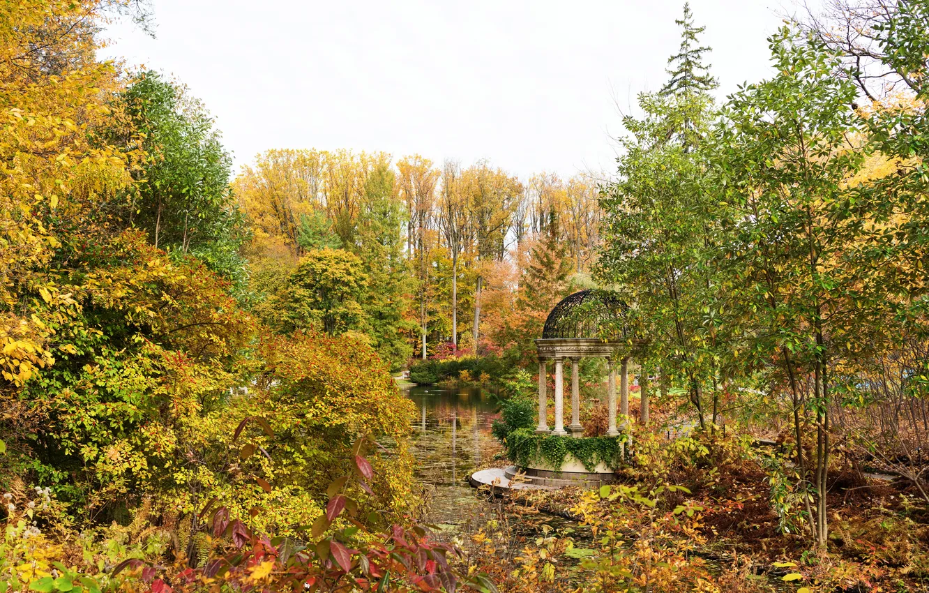 Фото обои осень, листья, деревья, пруд, парк, США, беседка, Longwood Gardens