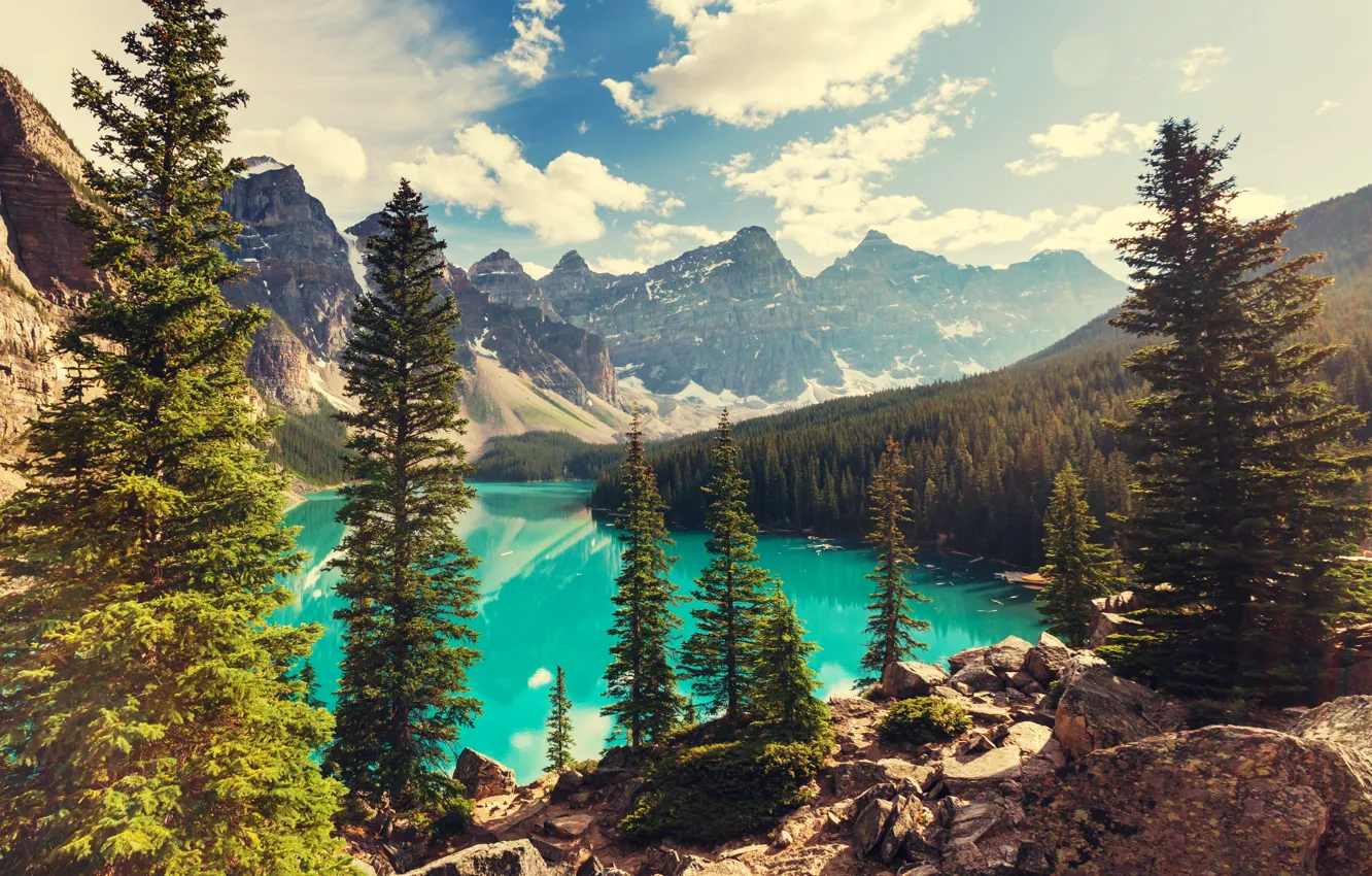 Фото обои лес, озеро, Canada, landscape, lake, Banff National park, Moraine