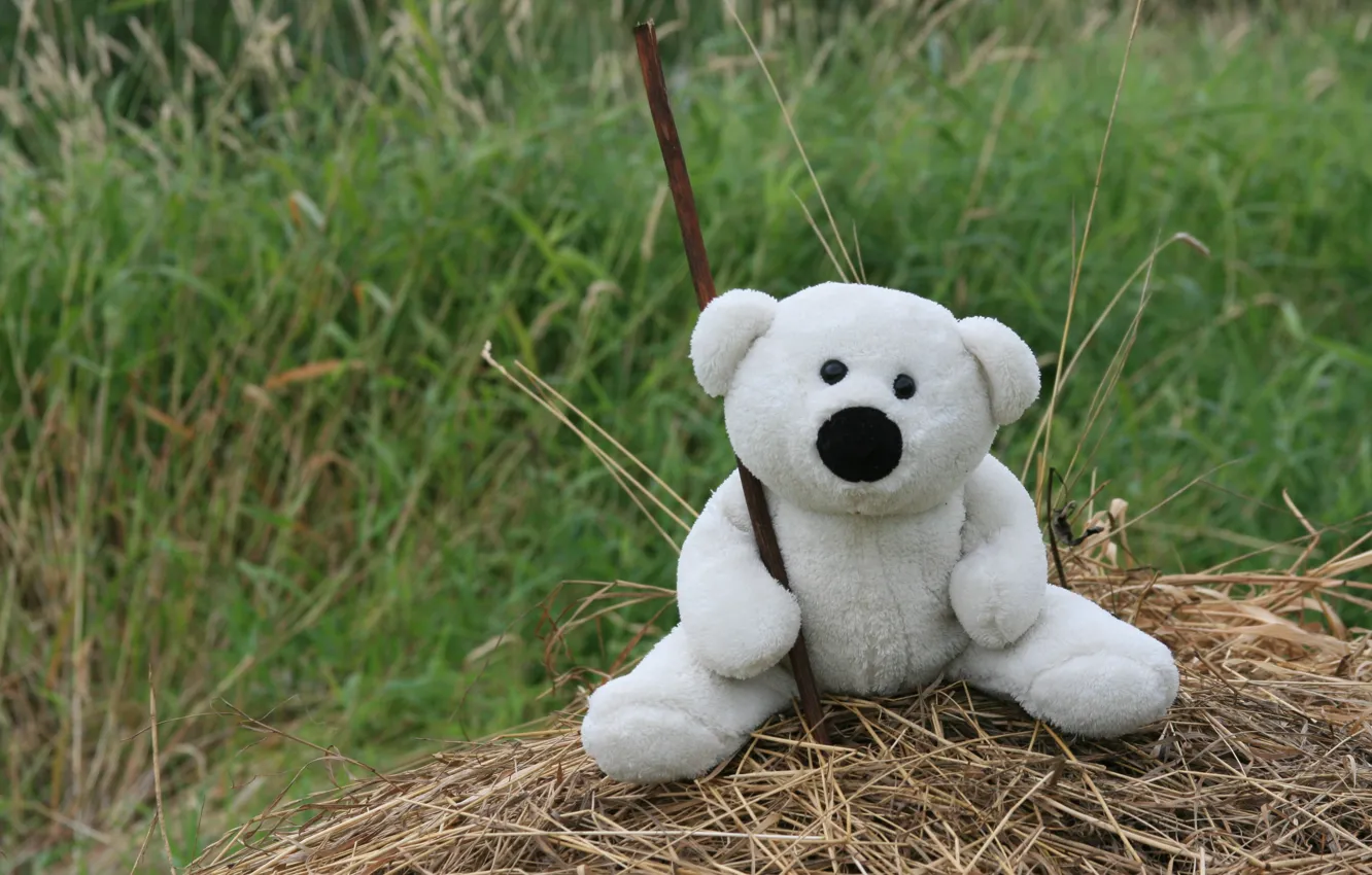 Фото обои трава, настроения, игрушка, Белый, мишка, сено, прогулка