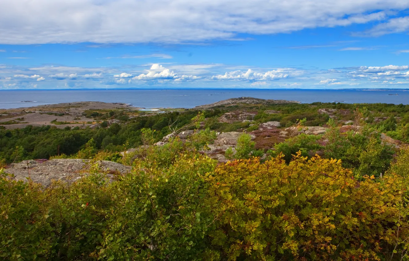 Фото обои пейзаж, природа, горизонт, Швеция, кусты, Gotaland, Vastra