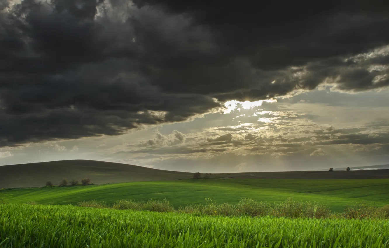 Фото обои поле, холмы, пшеничное, приближение бури