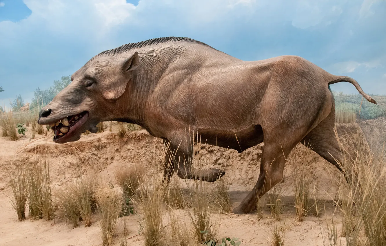 Фото обои Animal, Paleo History, Denver Museum