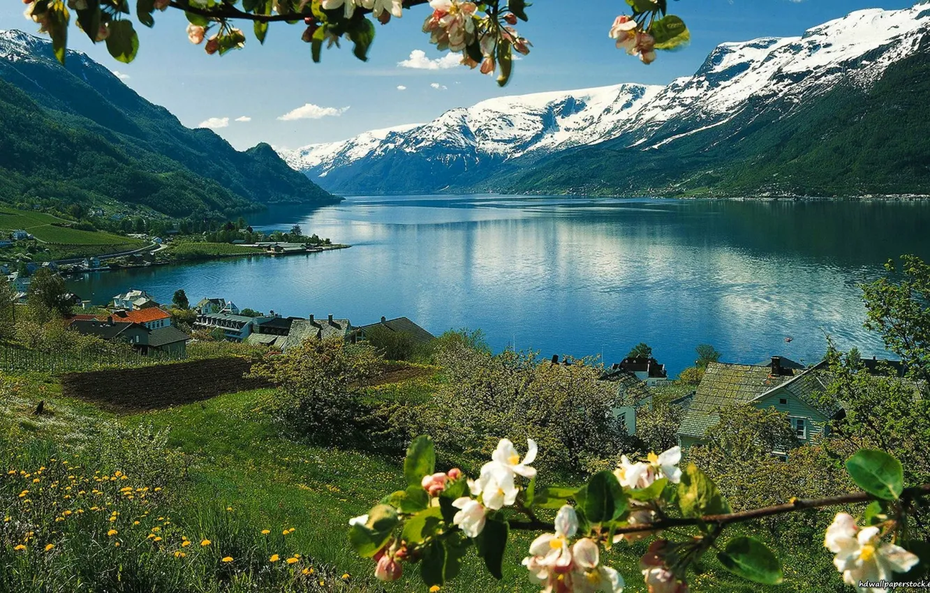 Фото обои небо, трава, снег, цветы, горы, озеро, дом, весна