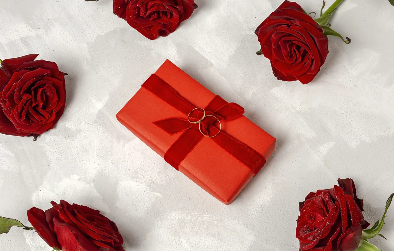 Фото обои розы, кольца, лента, красные, обручальные