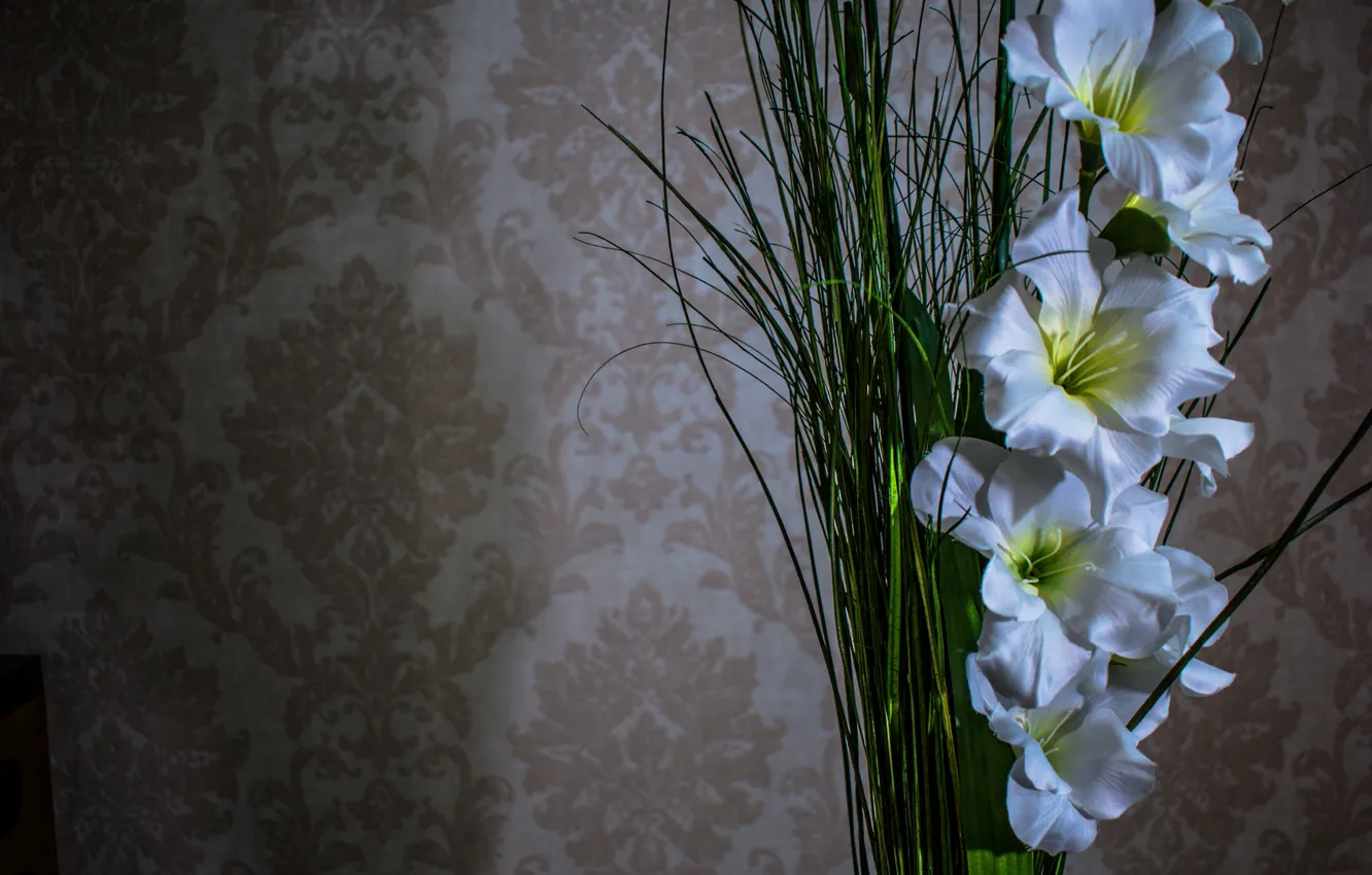 Фото обои цветы, белые, гладиолусы