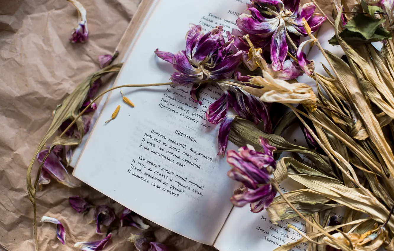 Фото обои цветы, тюльпаны, книга, стихи