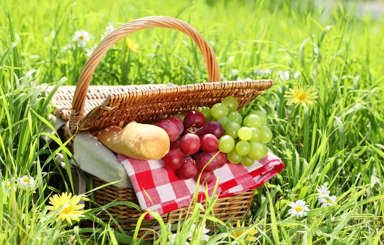 Фото обои лето, трава, корзина, ромашки, хлеб, виноград, пикник, батон