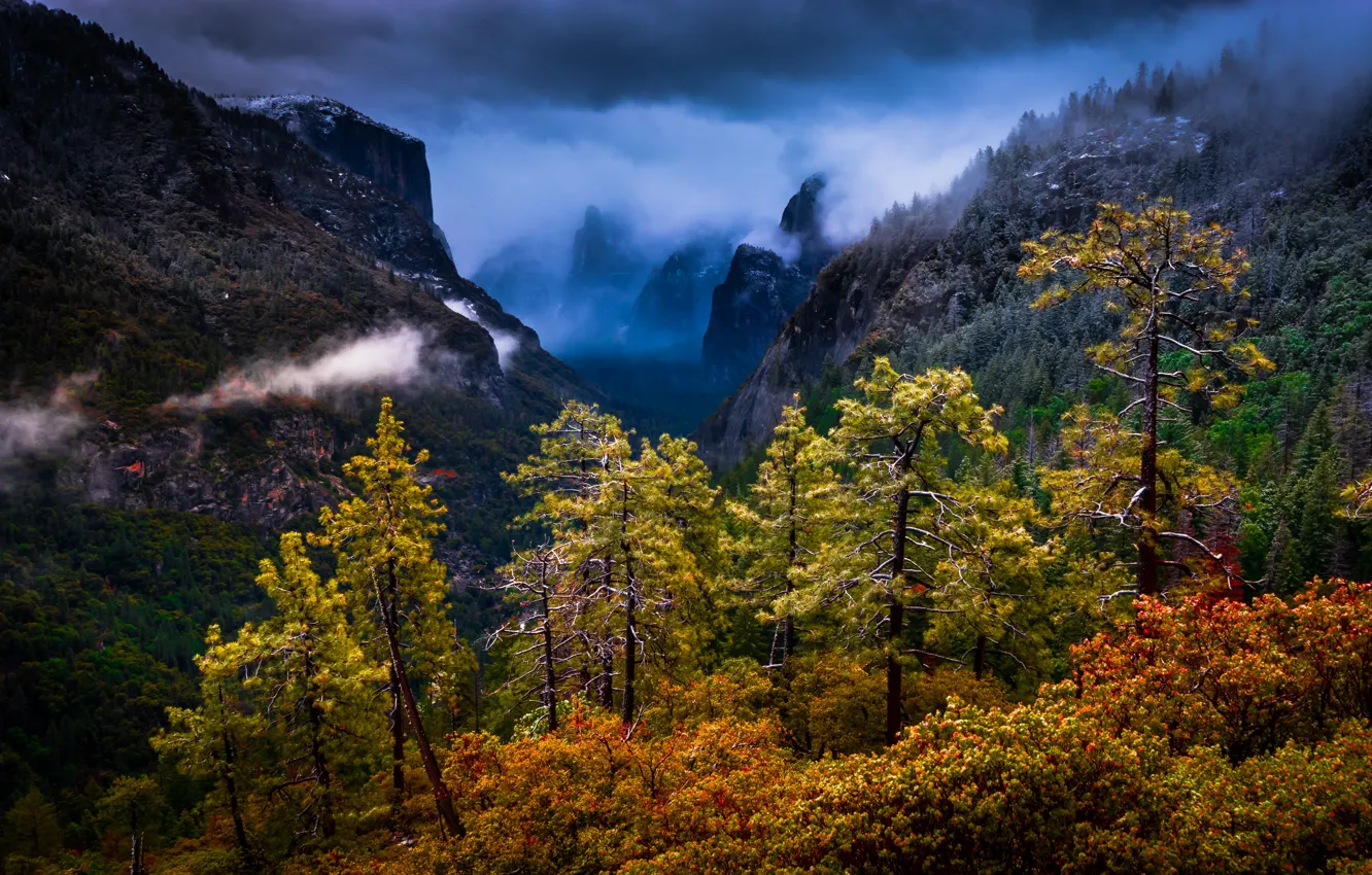Фото обои деревья, горы, Калифорния, California, Национальный парк Йосемити, Yosemite National Park, Сьерра-Невада, Sierra Nevada