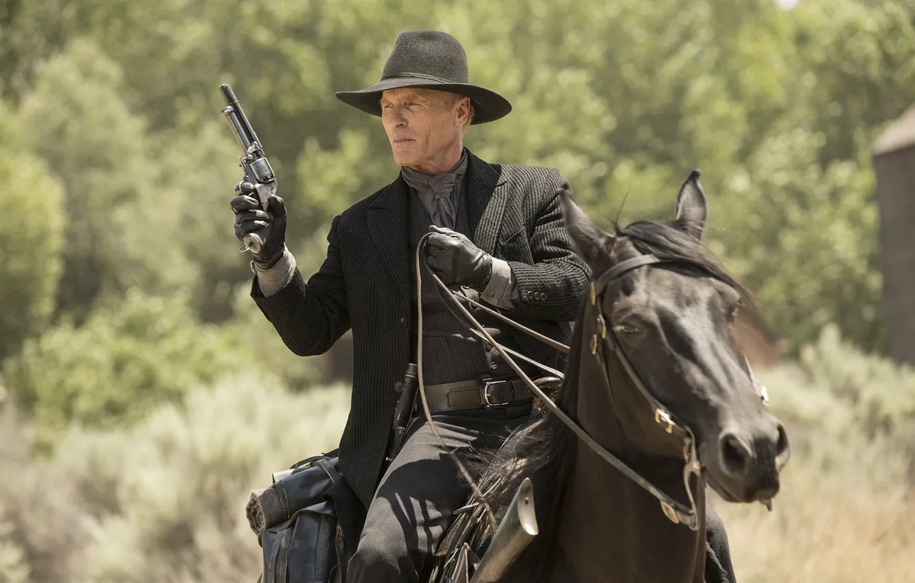Фото обои оружие, лошадь, кадр, шляпа, перчатки, сериал, ковбой, револьвер