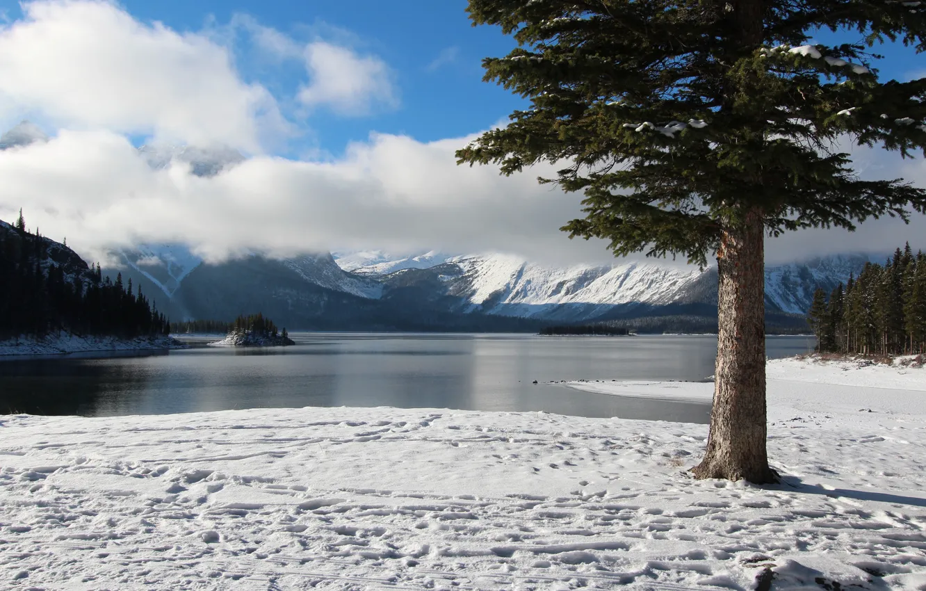Фото обои зима, небо, облака, снег, деревья, горы, озеро, остров