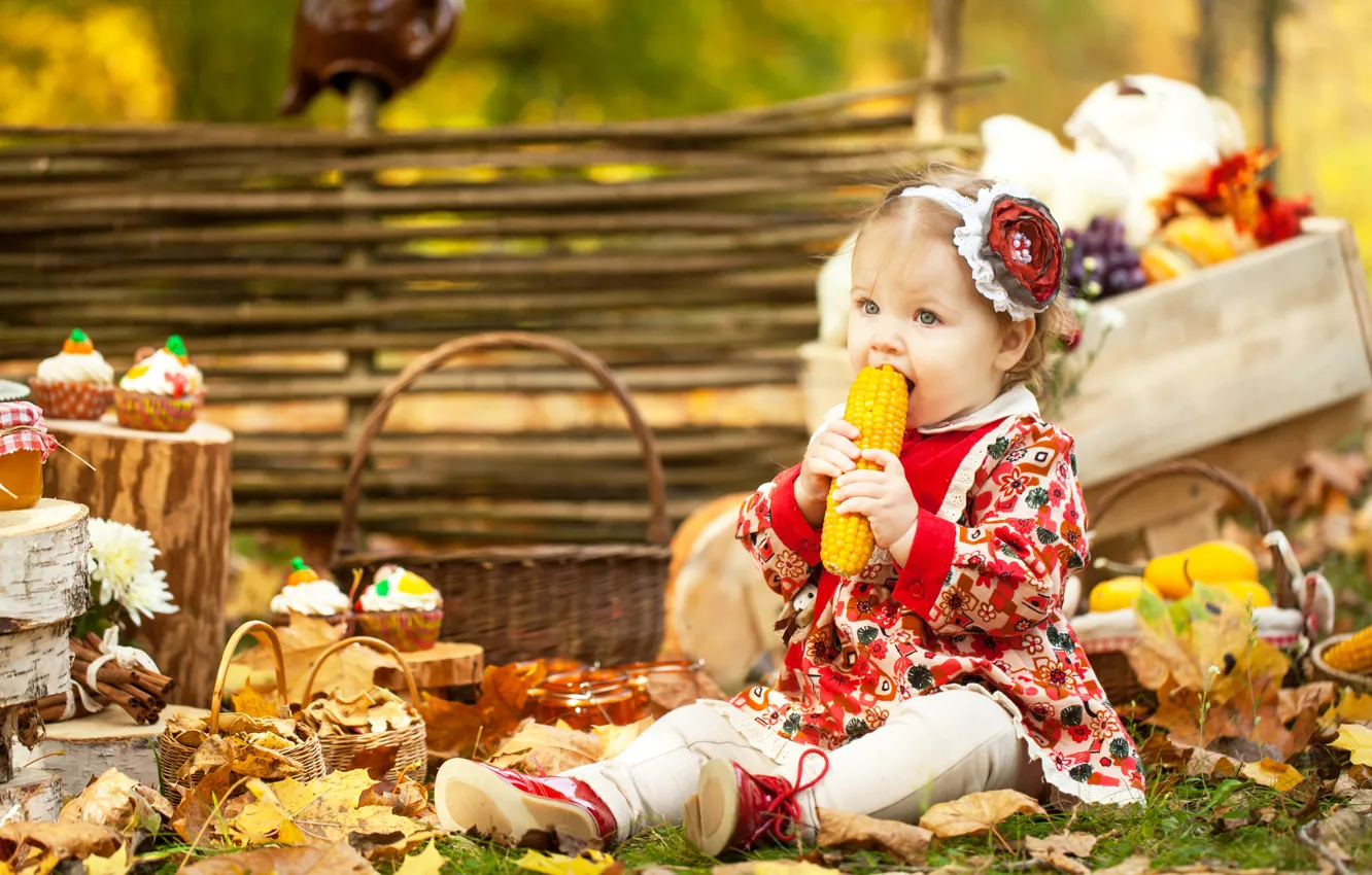 Фото обои осень, листья, корзина, кукуруза, платье, девочка, girl, маленькая