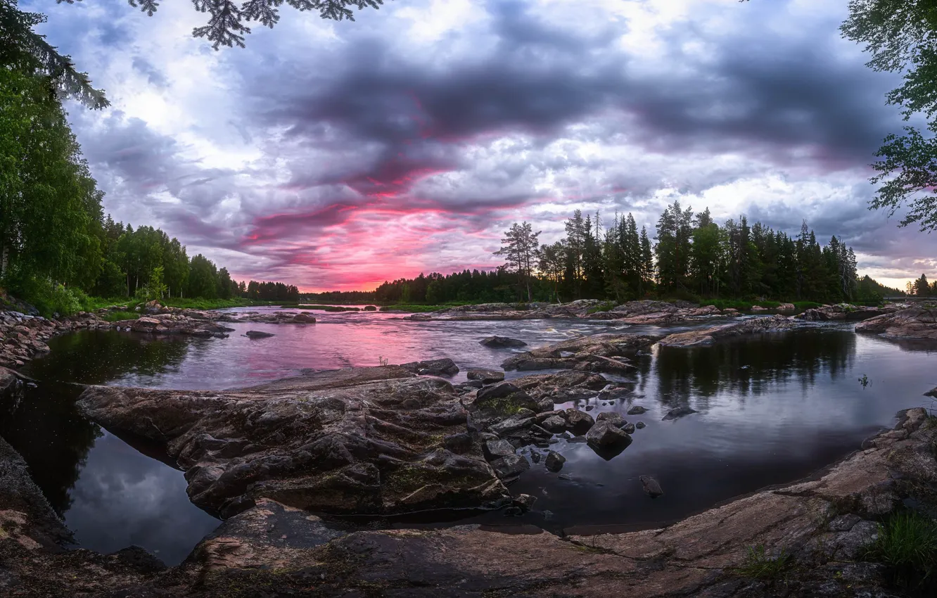 Фото обои лес, лето, река, Финляндия
