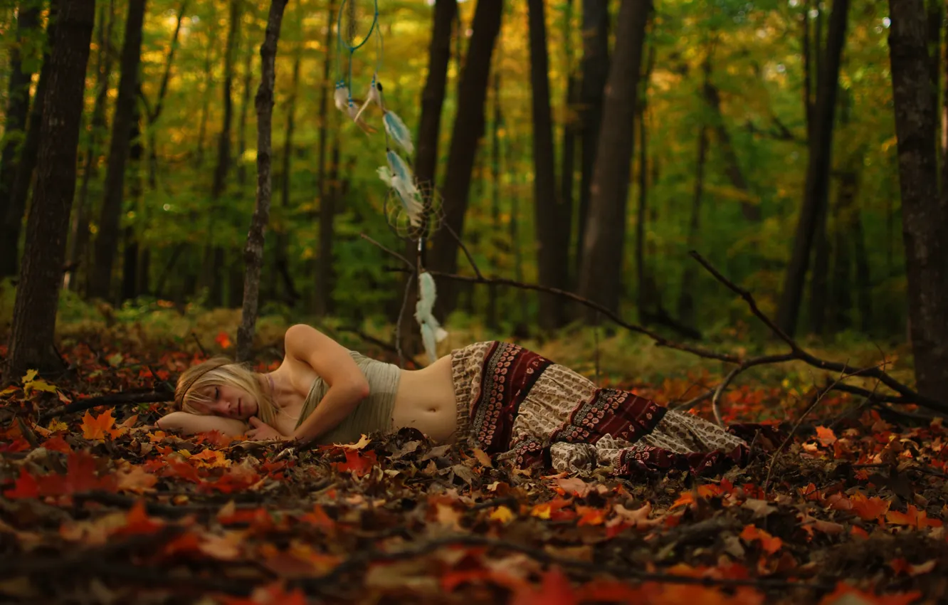 Фото обои лес, листья, forest, leaves, sleeping, спальная