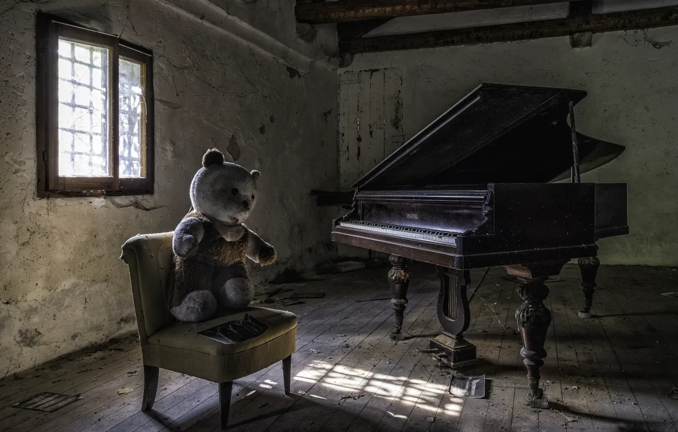 Фото обои мишка, стул, пианино