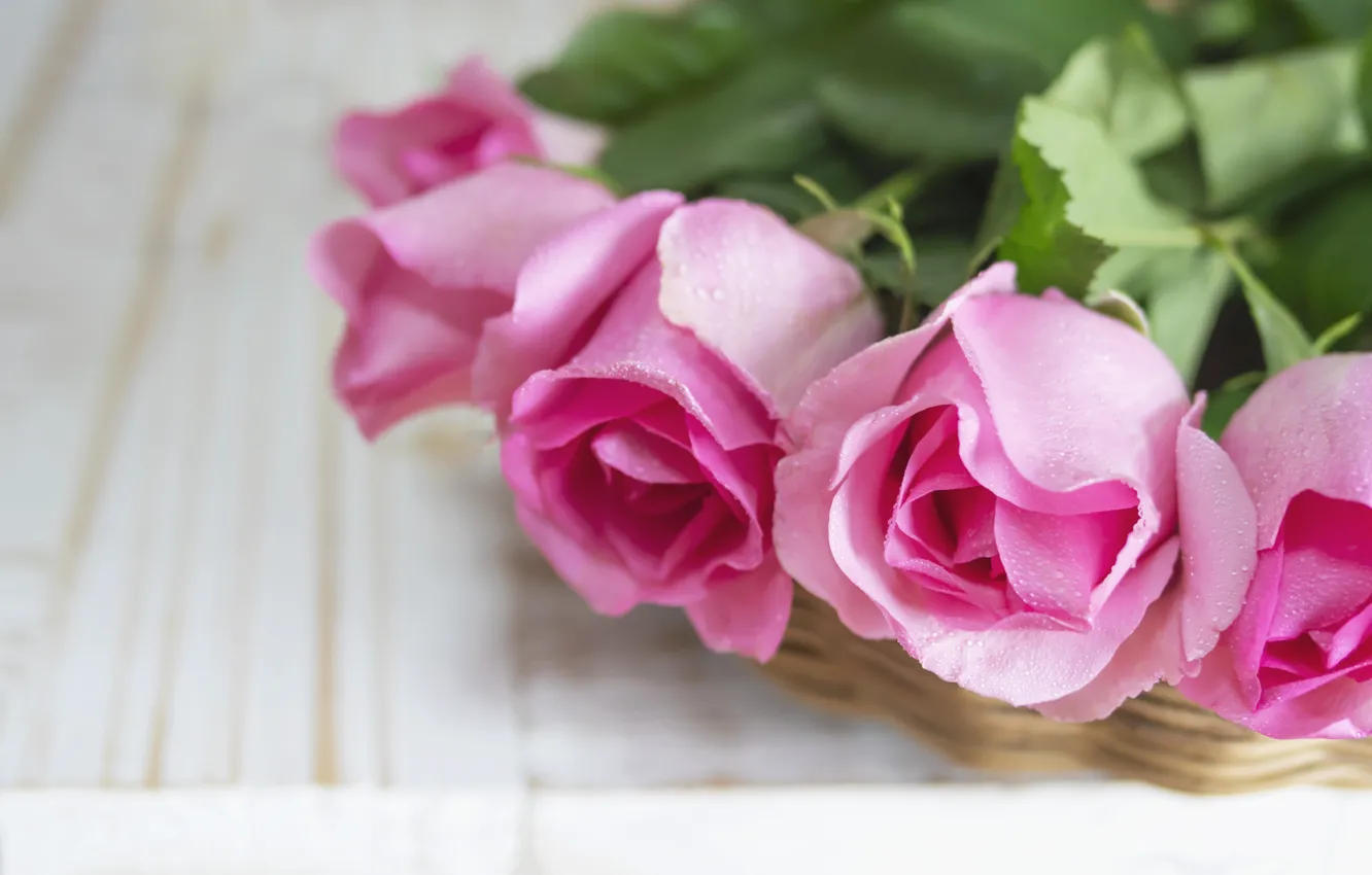 Фото обои розы, букет, розовые, красивые, pink, roses