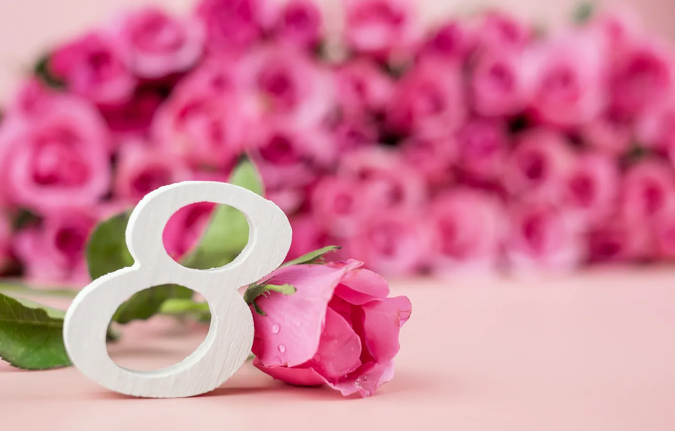 Фото обои цветы, розы, цифра, happy, 8 марта, pink, flowers, spring