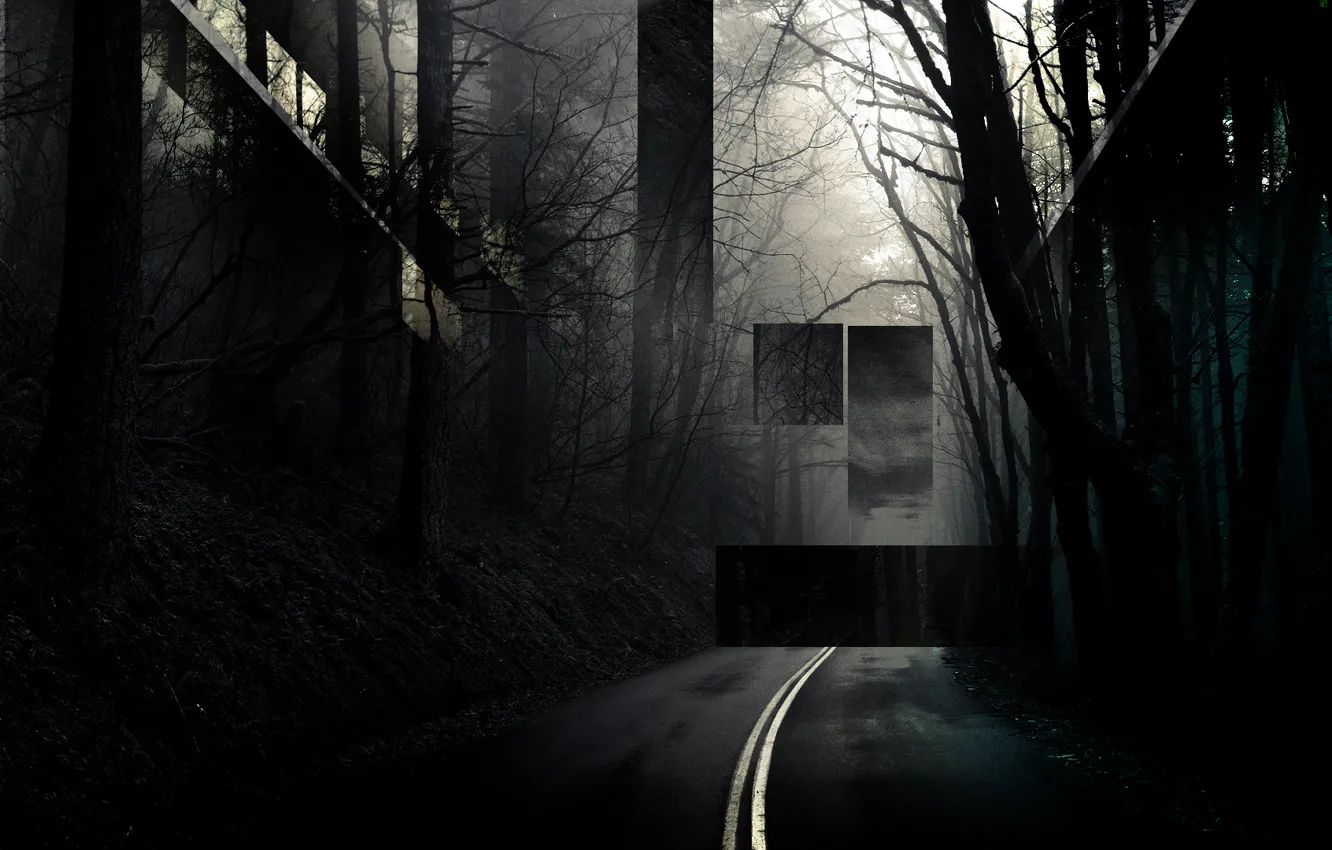 Фото обои green, dark, forest, road, ultra, awesome, cool, best