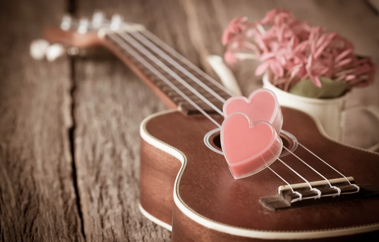 Фото обои цветы, сердце, гитара, love, vintage, heart, romantic