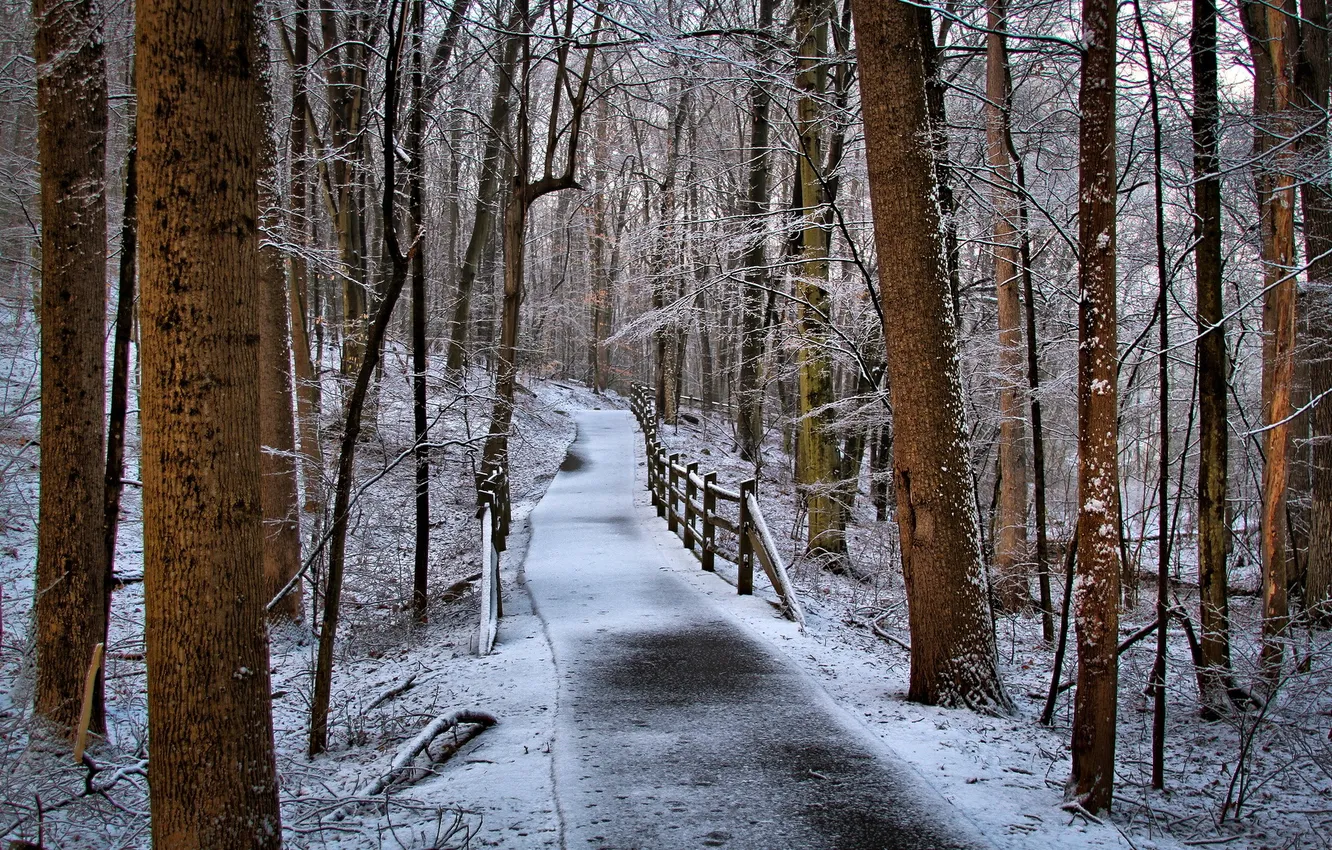 Фото обои зима, природа, парк