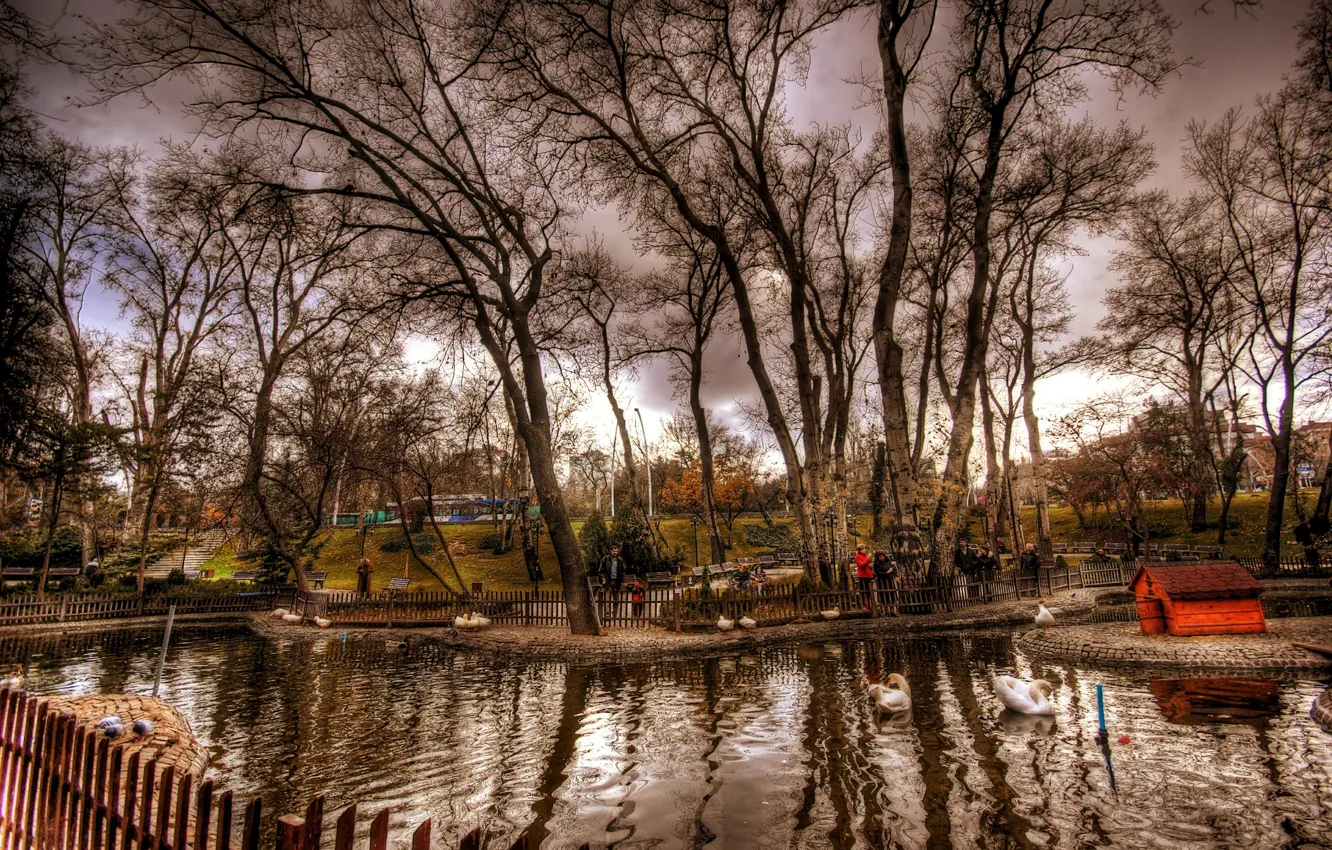 Фото обои осень, деревья, пруд, фото, обработка, Nature, trees, Стамбул