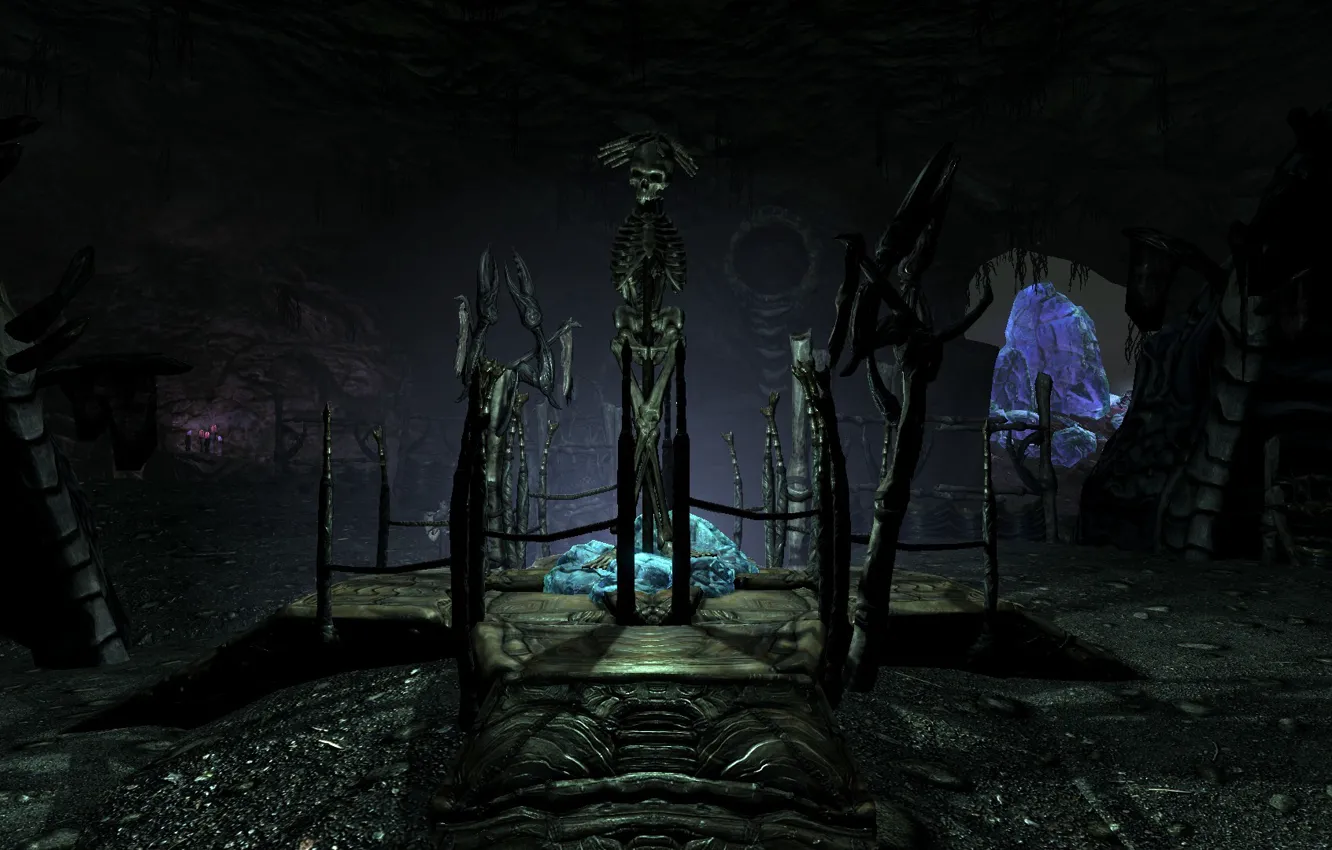 Фото обои игры, скелет, пещера, skyrim, скайрим, dawnguard