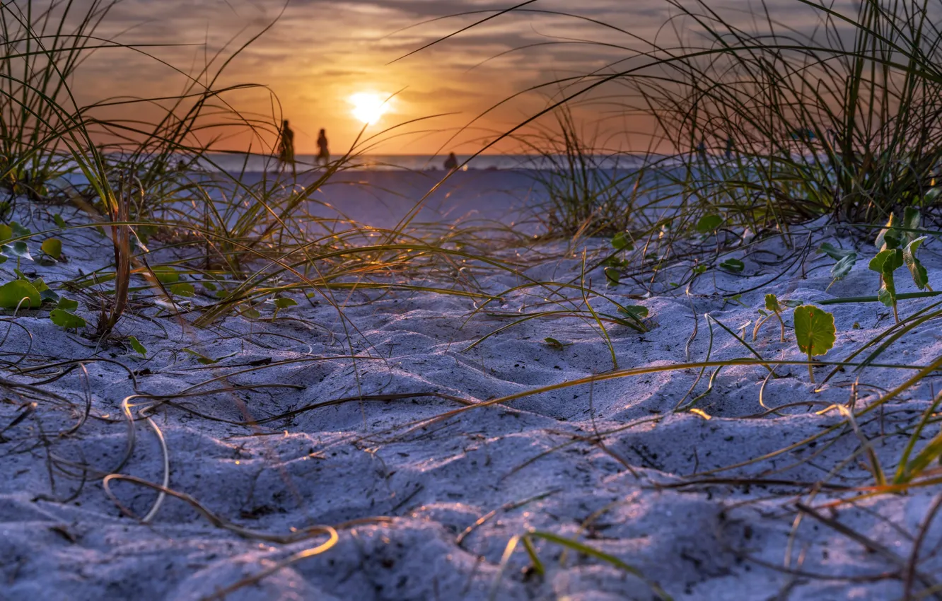 Фото обои песок, море, закат, берег
