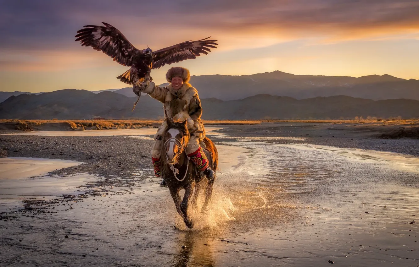 Фото обои Eagle, Mongolia, Horse, eagle hunter, Ulgii