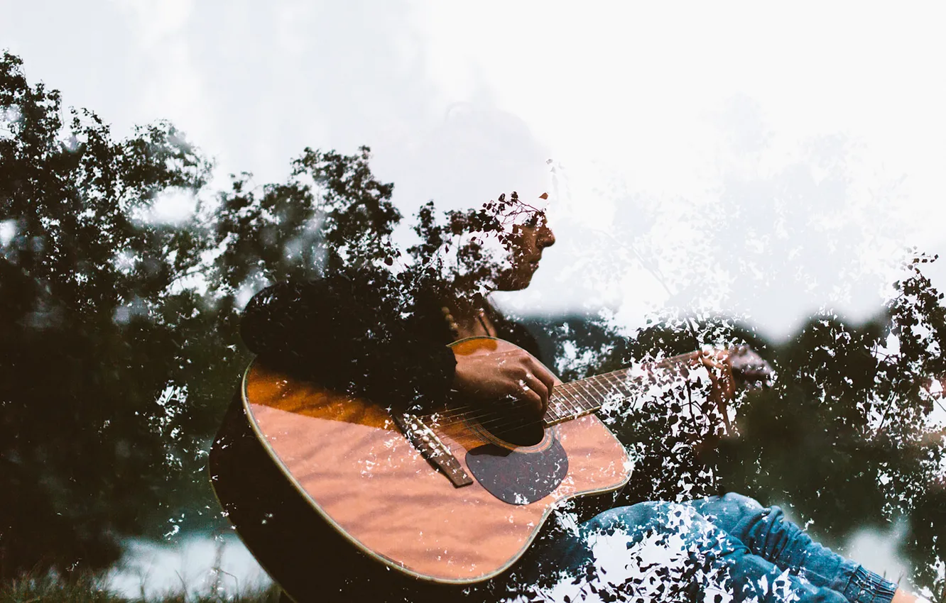 Фото обои music, guitar, trees, branches, musician