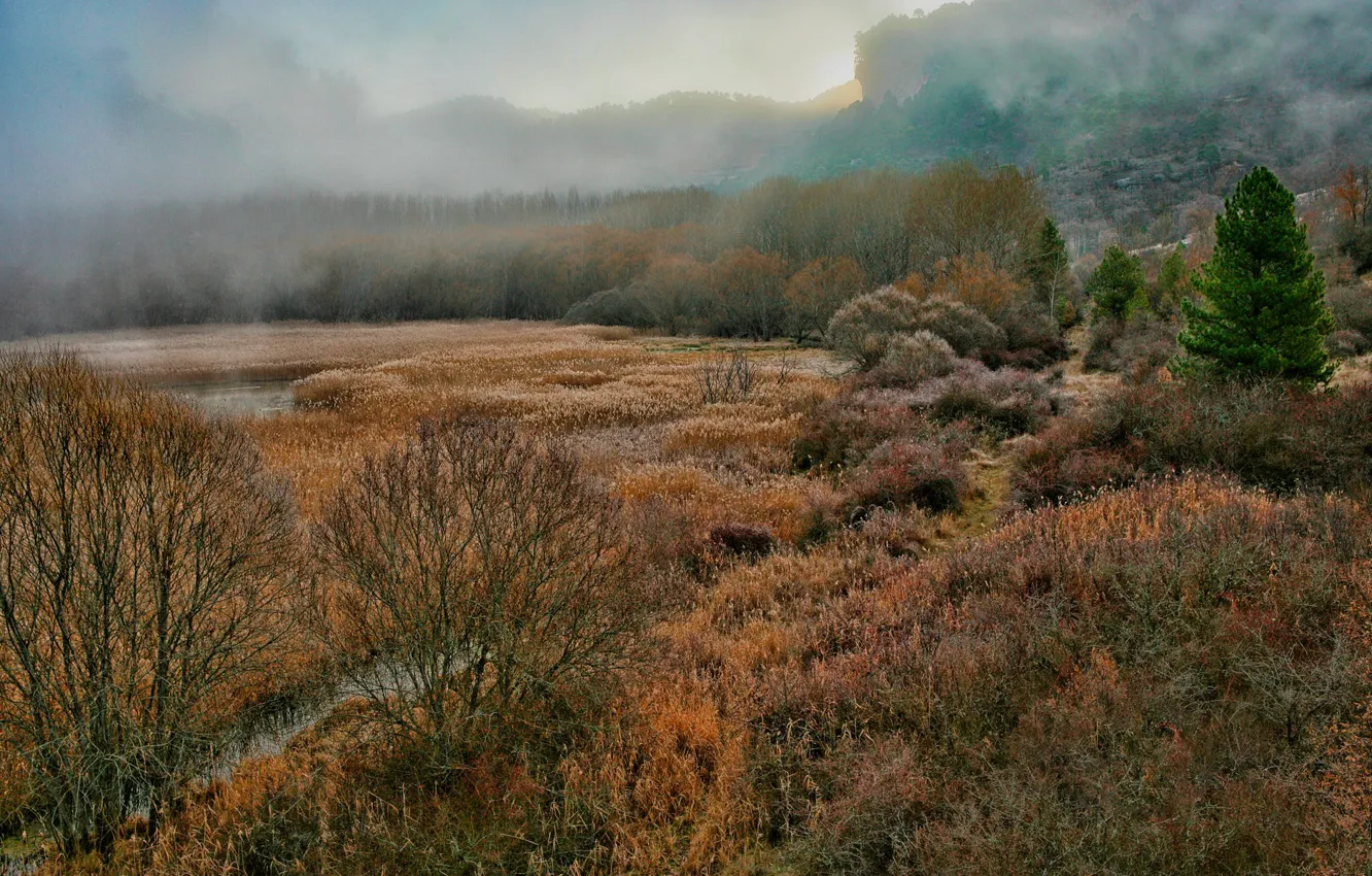 Фото обои осень, пейзаж, туман, залив, ущелье, Испания, лагуна, мрачно