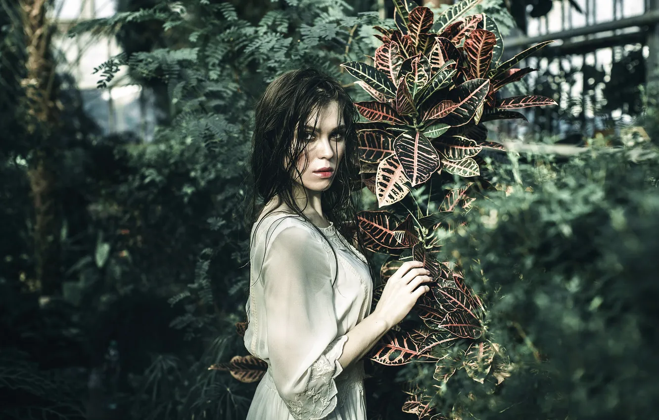 Фото обои взгляд, губки, Vera Paceva