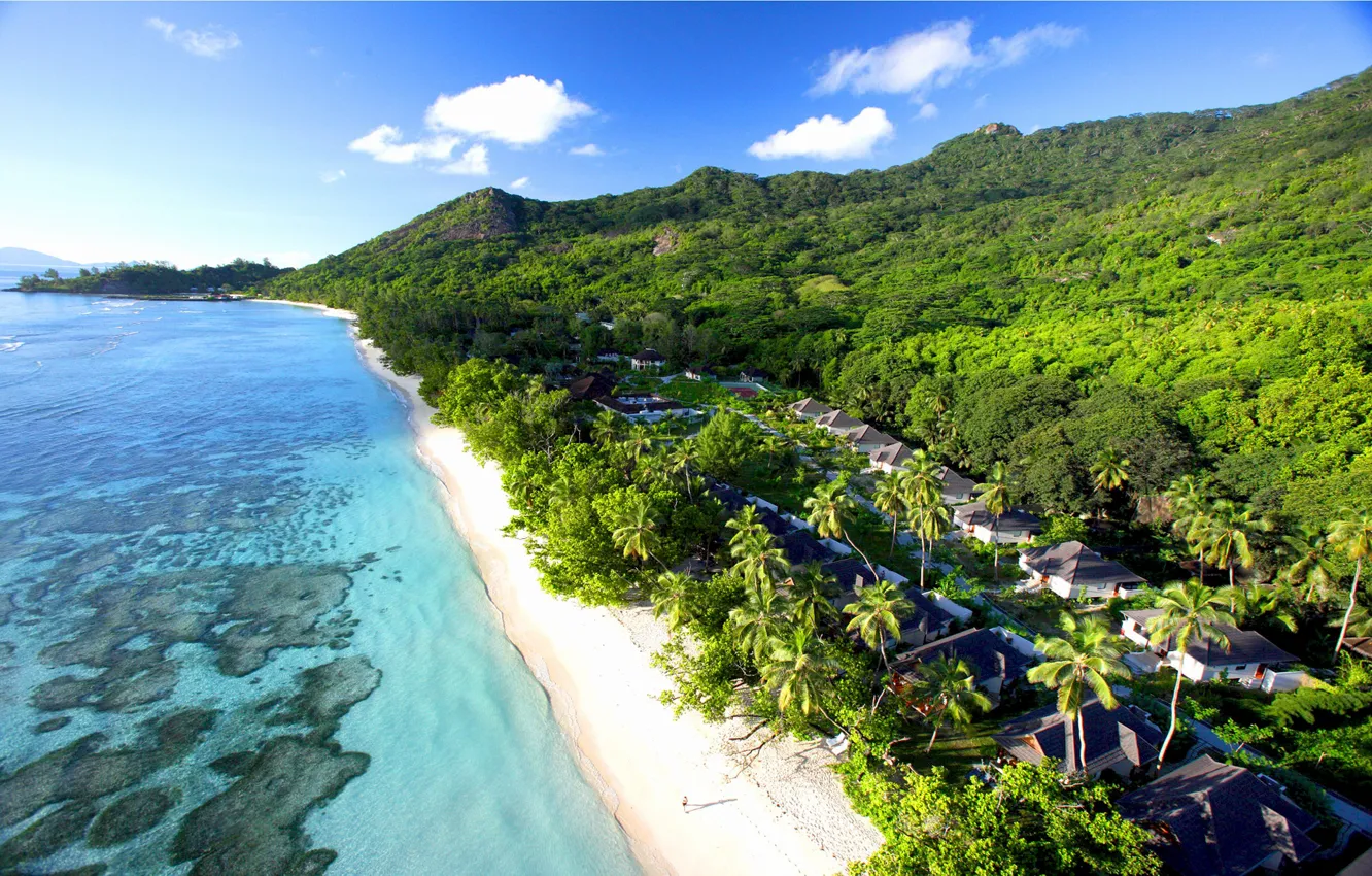 Фото обои palms, Seychelles, Indian ocean, Labriz resort, exotic island