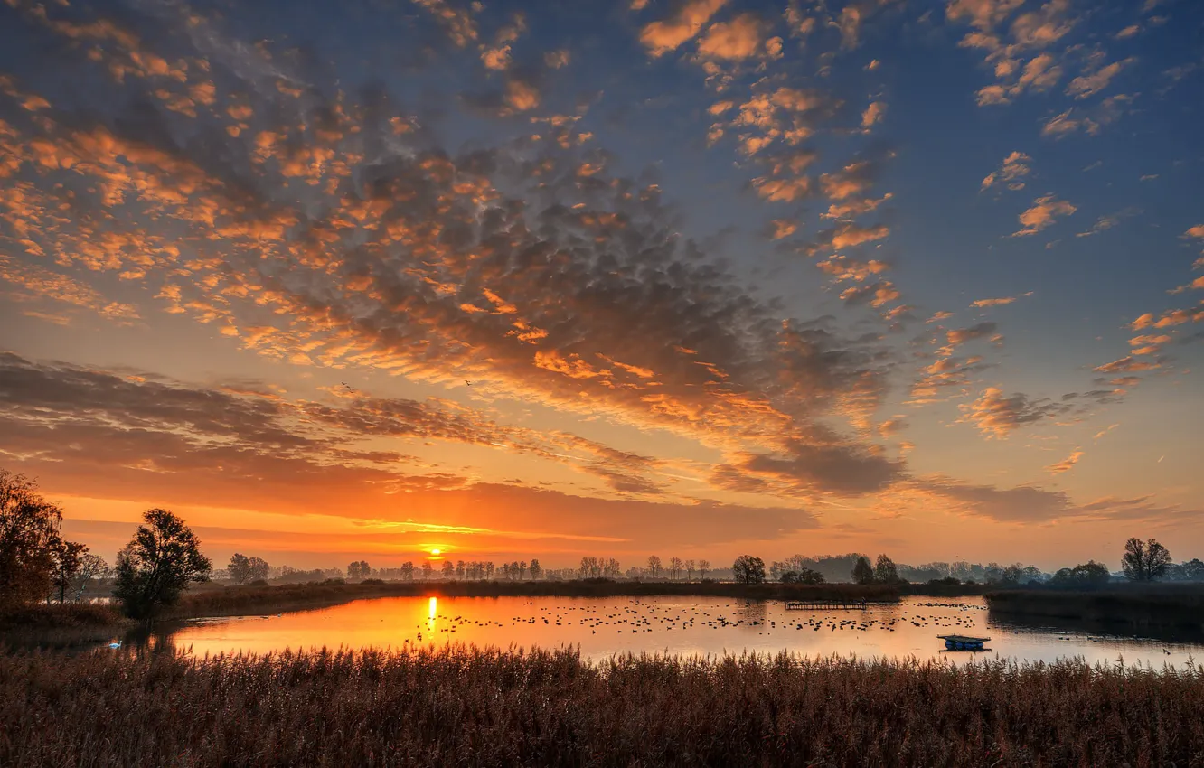 Фото обои озеро, рассвет, утро, Германия