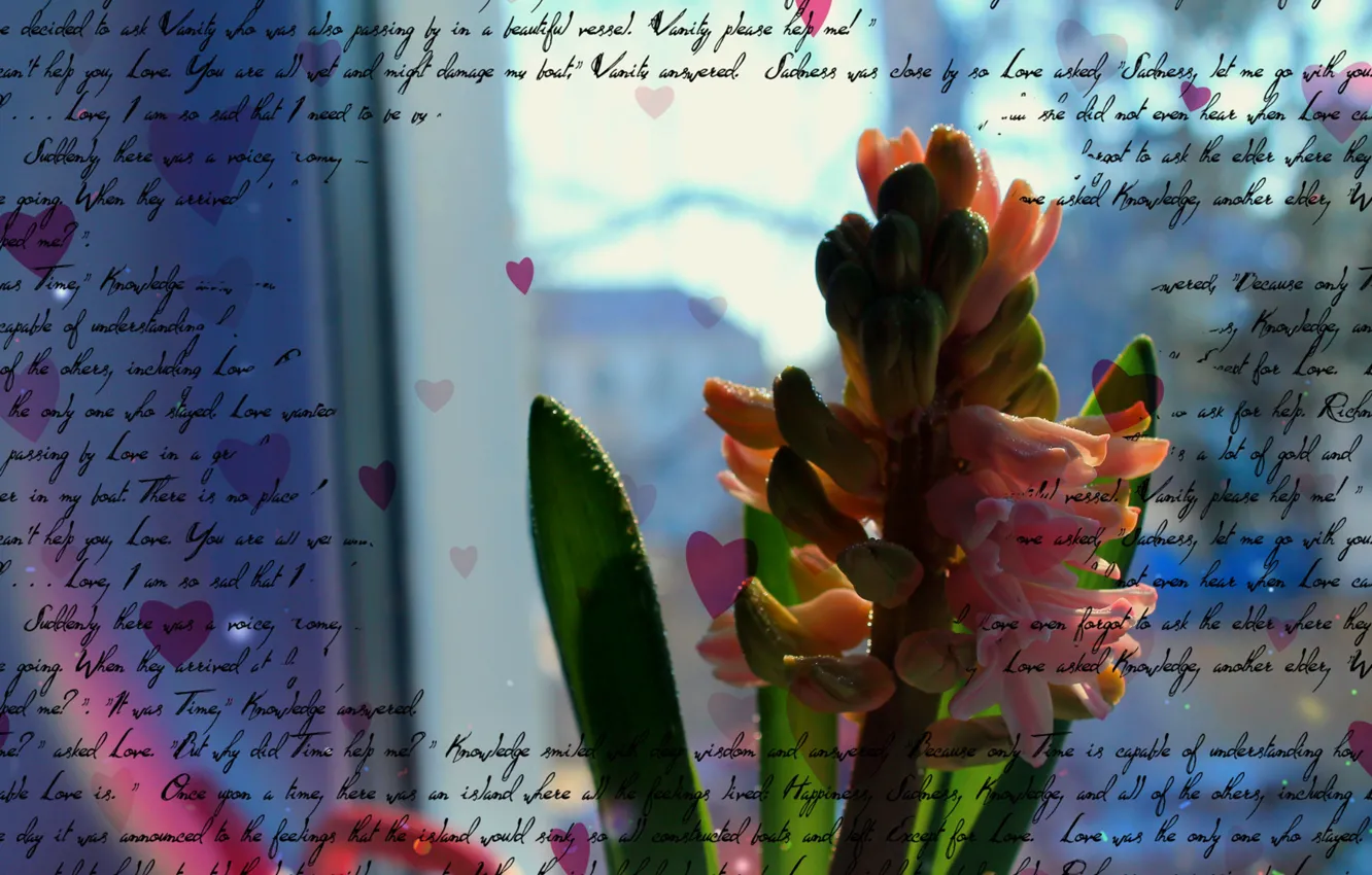Фото обои цветок, надписи, надпись, сердечко, flower, heart, inscription, письмена