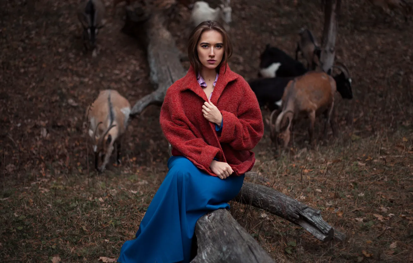 Фото обои на природе, козы, Илья Баранов, Алина Баранова