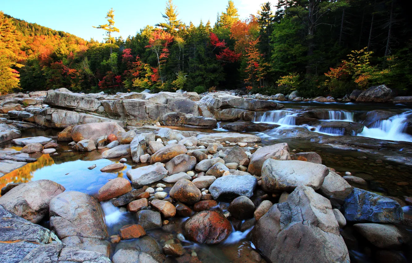 Фото обои Поток, Осень, Река, Лес, Камни, Nature, Fall, Autumn