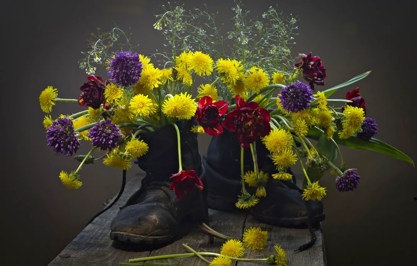 Фото обои цветы, обувь, ботинки, лук, тюльпаны, одуванчики