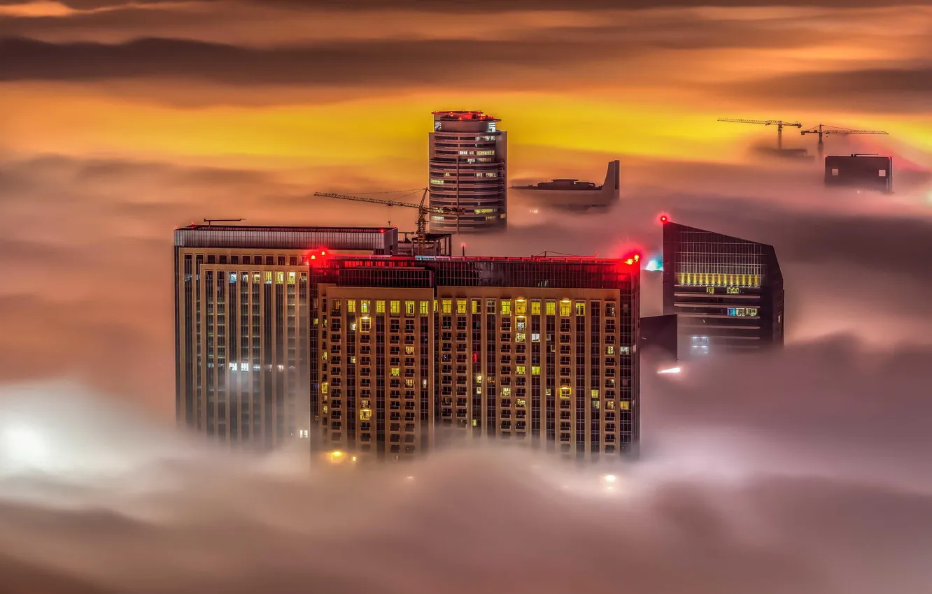 Фото обои ночь, огни, туман, здание, небоскреб