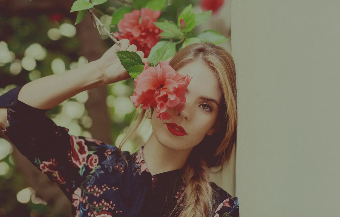 Фото обои взгляд, девушка, цветы, гибискус