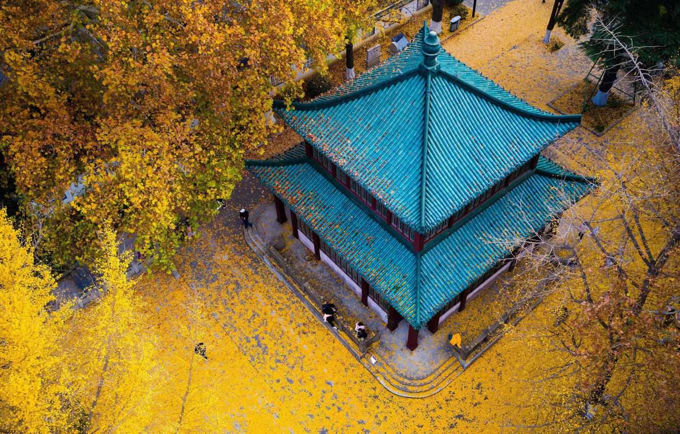 Фото обои осень, Китай, храм, пагода, Нанкин, провинция Цзянсу