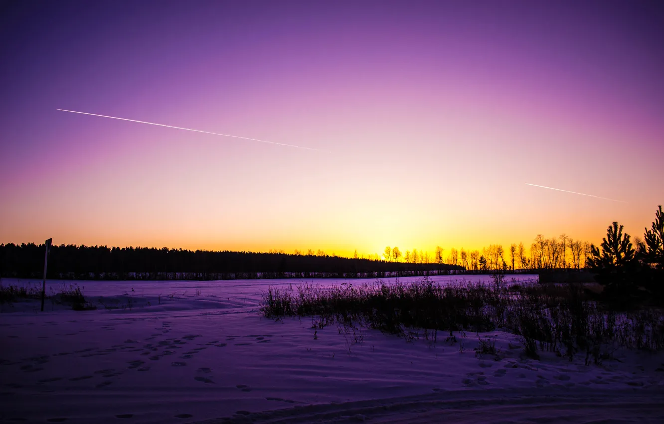 Фото обои зима, дорога, лес, небо, трава, снег, деревья, закат