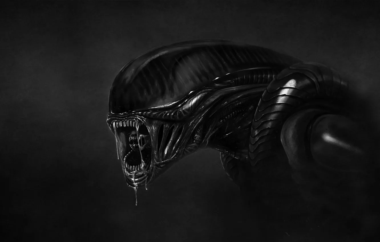 Фото обои темный фон, монстр, чужие, чужой, инопланетянин, alien, слюни