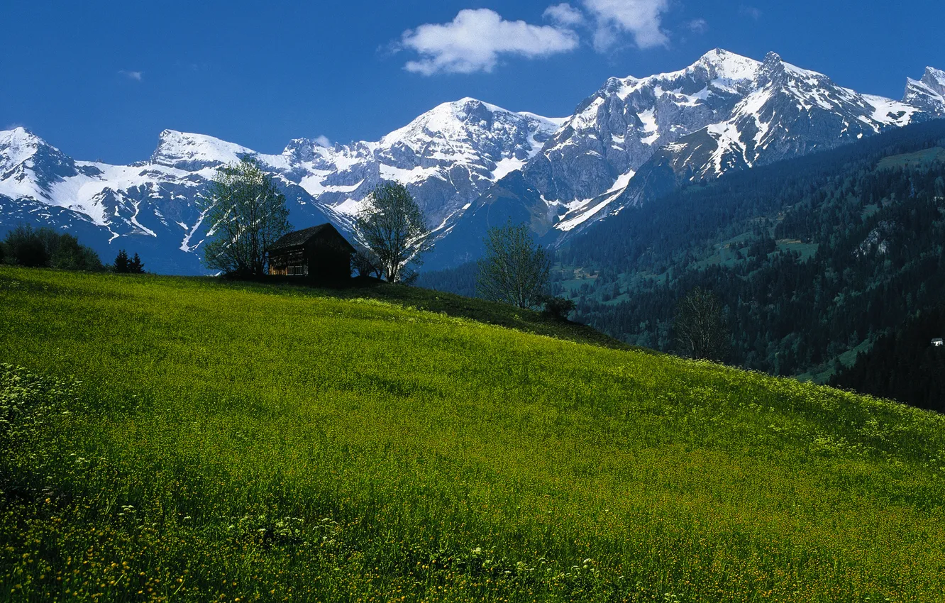 Фото обои небо, горы, Австрия, луг, домик