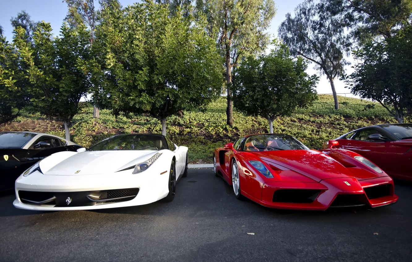 Фото обои Ferrari, red, supercar, enzo, front, 458 italia