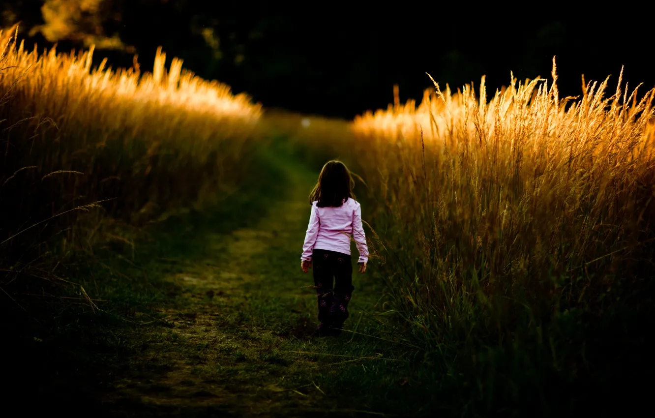 Фото обои дорога, поле, трава, дети, путь, настроение, заросли, настроения