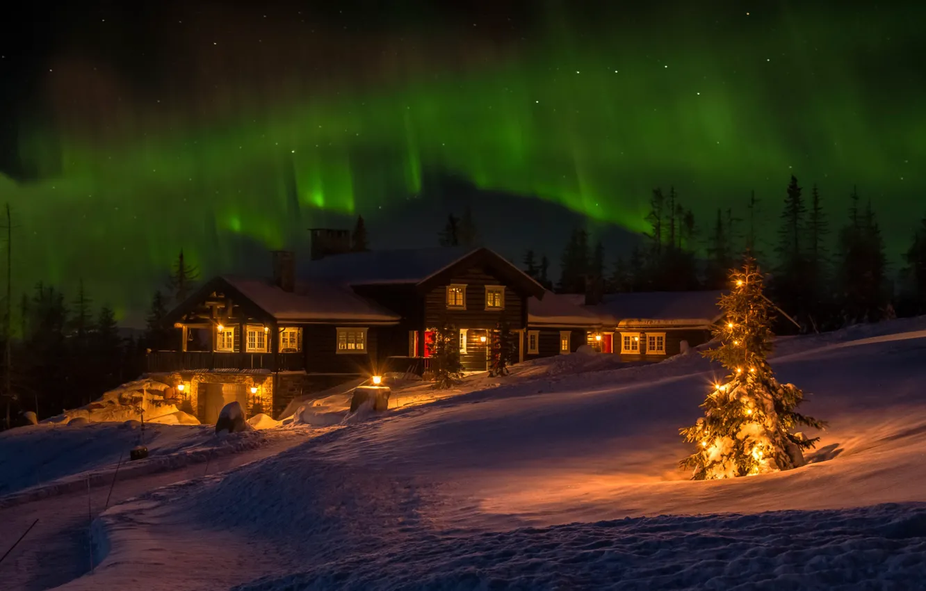 Фото обои зима, дом, праздник, северное сияние, Норвегия, ёлка