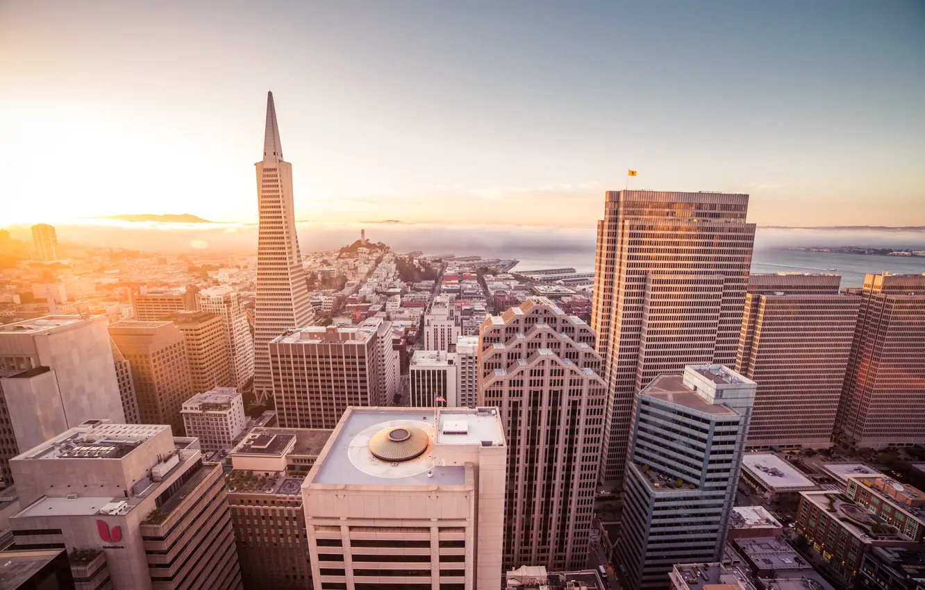Фото обои город, небоскребы, Сан-Франциско, San Francisco